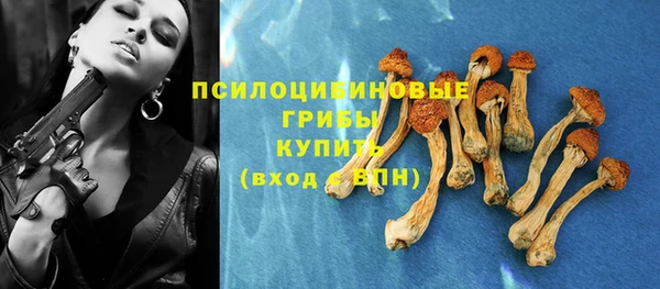 марки nbome Богданович