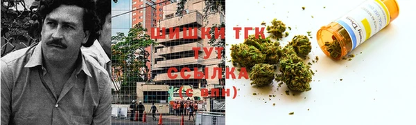 МДПВ Богородицк