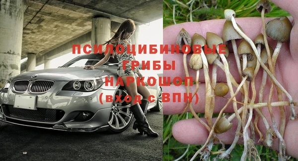 марки nbome Богданович