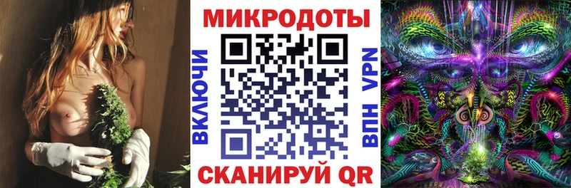 Купить где  Кыштым  Галлюциногенные грибы Cubensis 